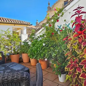 Appartamento Descalzos ángel, Ronda